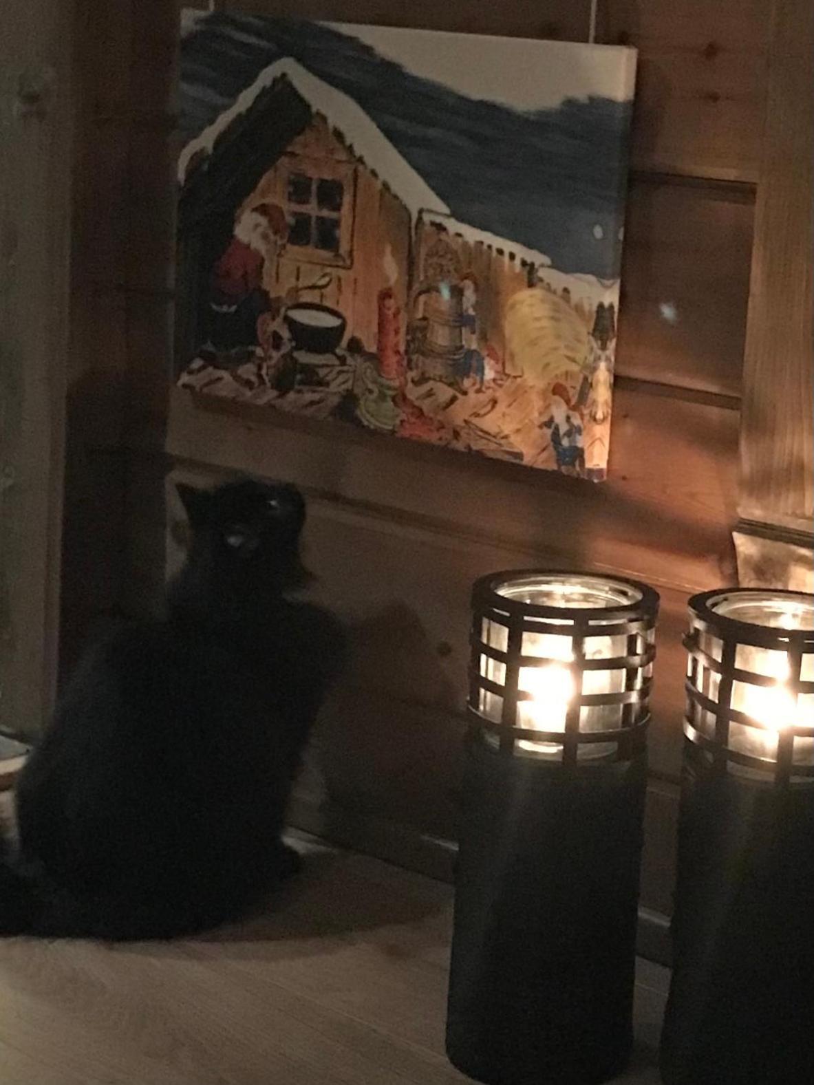 Smastranda Fjord Lodge Aheim エクステリア 写真
